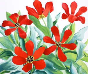 Madame Lefeber Tulips 2