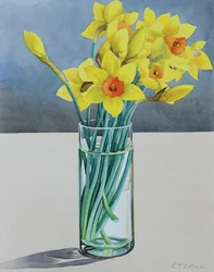 Supermarket Daffodils