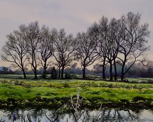 Winter Trees