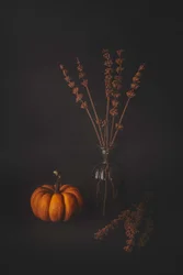 Dark Autumn Still Life