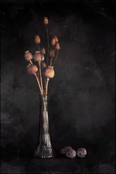 Dark Botanical Still Life