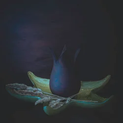 Dark Botanical Still Life