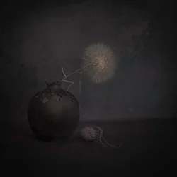 Dark Dandelion Still Life
