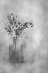 Dreamy Black and White Flowers