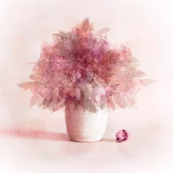Dreamy Pink Flowers