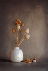 Dried Poppy Still Life