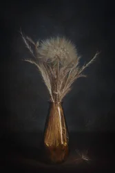 Elegant Dandelion Still Life