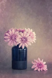 Gentle Pink Floral Still Life