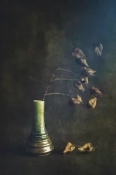 Green Vase Dried Pods