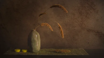 Minimalist Botanical Still Life