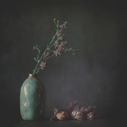 Moody Botanical Still Life