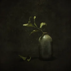 Moody Botanical Still Life