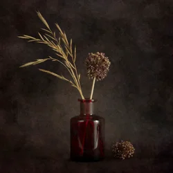 Moody Dried Botanicals