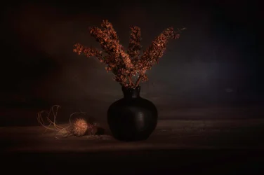 Moody Dried Botanicals