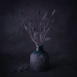 Moody Dried Flowers