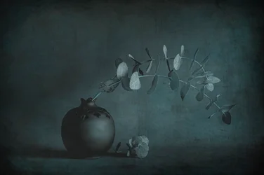 Moody Eucalyptus Still Life