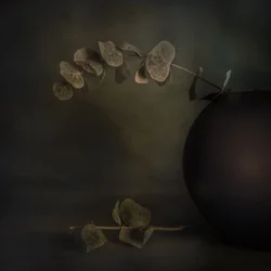 Moody Eucalyptus Still Life