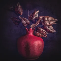 Moody Pomegranate Foliage