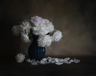 White Peonies Still Life
