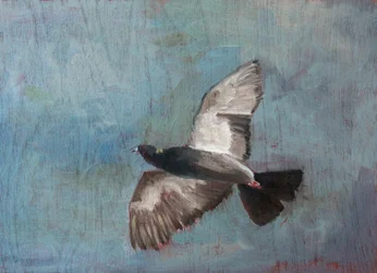 Graceful Flying Pigeon