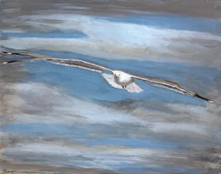 Serene Seagull Flight