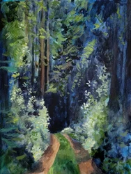 Sunlit Forest Path