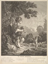 The Little Shepherd