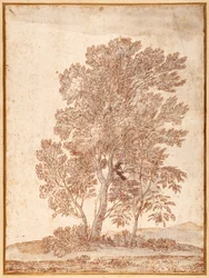 Three Trees