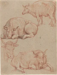 Four Cows