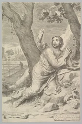 St. Augustine