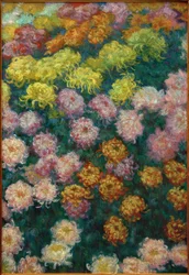 Chrysanthemum Bed, 1897