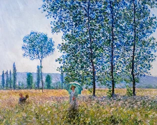 Fields in springtime