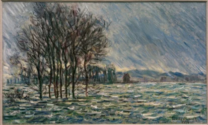 Flood