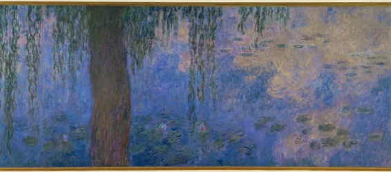 The Water Lily Pond with Willows, Morning with Willows