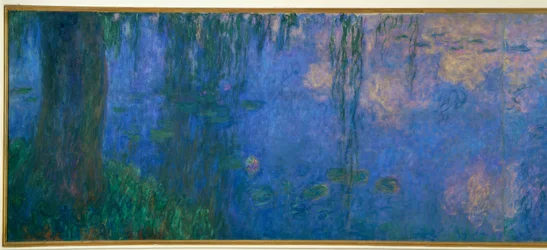 The Water Lily Pond with Willows, Morning with Willows