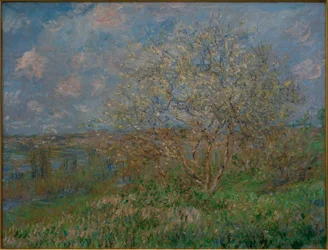 Spring