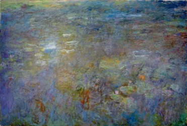 The Water Lily Pond