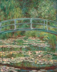 The Water Lily Pond