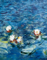 Water Lilies: The Morning