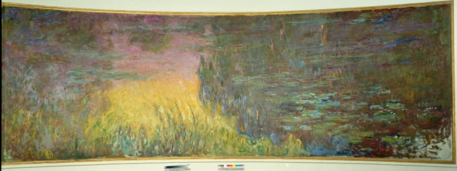 Les nympheas, Soleil Couchant