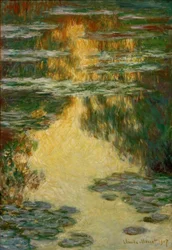 Water Lilies
