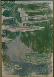 Water Lilies Study