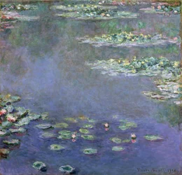 Water Lilies