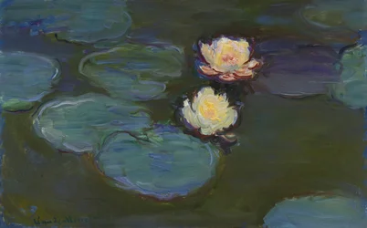 Water Lilies