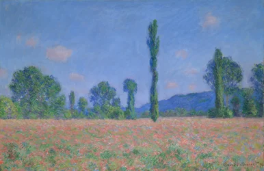 Poppy Field Giverny