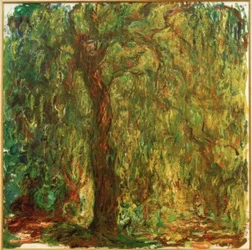 Weeping Willow