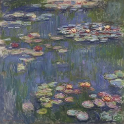 Water Lilies. 1916