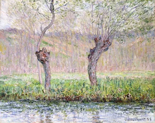Spring, Willows