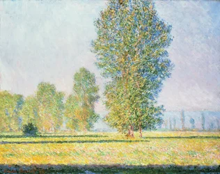 The Meadow of Limetz