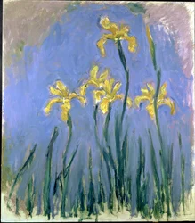 The Yellow Irises